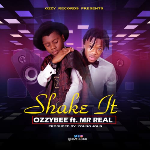 OzzyBee ft. Mr Real – Shake It