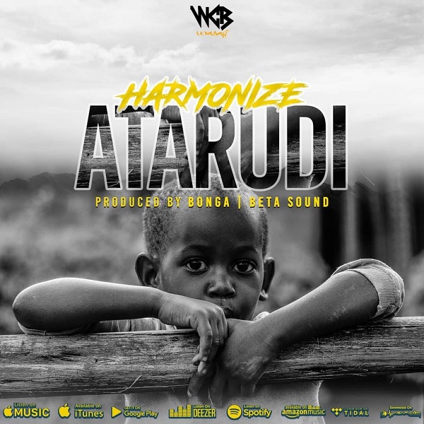 Harmonize – Atarudi artwork