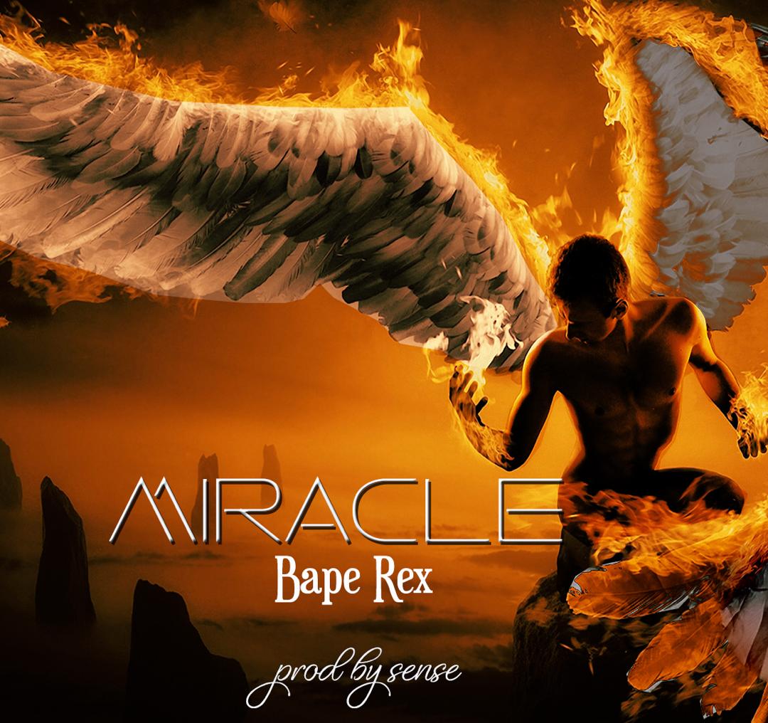 Bape Rex - Miracle Artwork