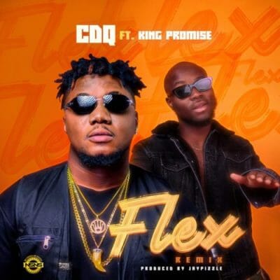 CDQ ft. King Promise – Flex (Remix)
