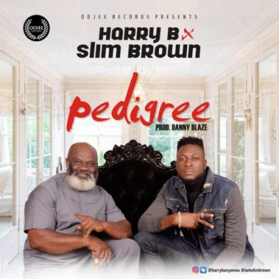 Harry B ft. Slim Brown – Pedigree