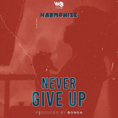 Harmonize – Never Give Up
