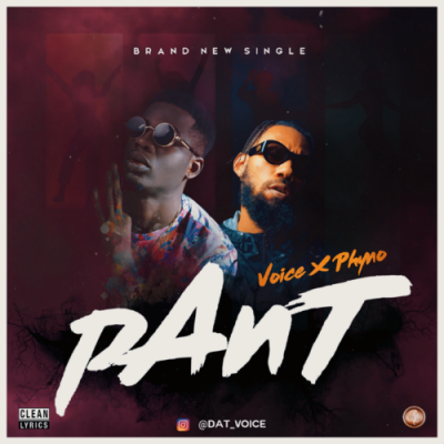 voice ft phyno pant