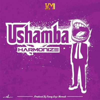 Harmonize – Ushamba