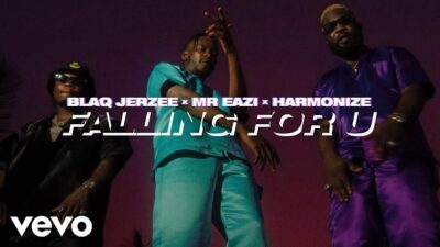 [Video] Blaq Jerzee ft. Mr Eazi, Harmonize – Falling For U