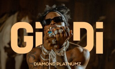 Diamond Platnumz – Gidi