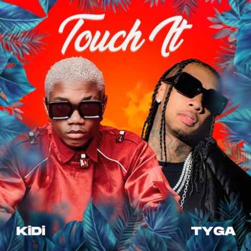 KiDi ft. Tyga – Touch It (Remix)
