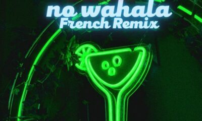 1da Banton ft. DJ Leska, Naza – No Wahala (French Remix)
