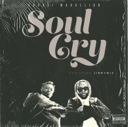 Shabzi Madallion ft. Jimmy Wiz – Soul Cry