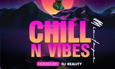 DJ Reality - Chill N Vibes Mix Artwork