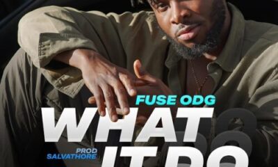 Fuse ODG – What It Do