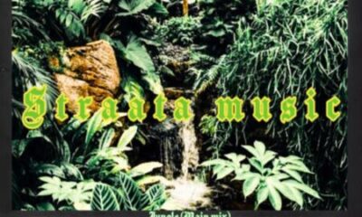 DJ Poison La MusiQue ft. Thuska Drumbeat – Jungle