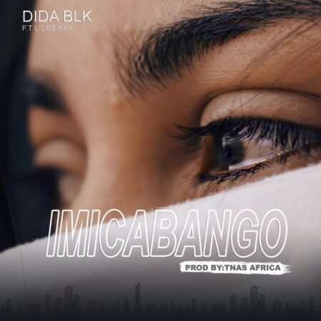 Didablk ft. L.DeeKay – Imicabango