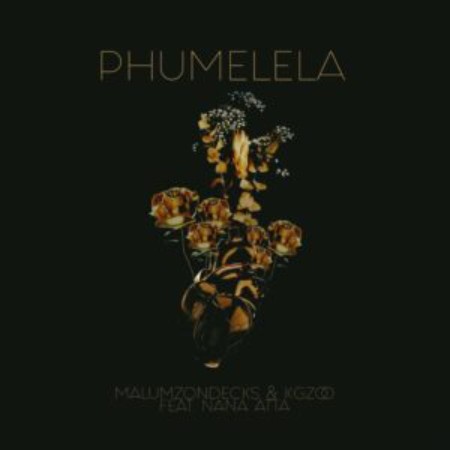 Malumz On Decks ft. Kgzoo, Nana Atta – Phumelela