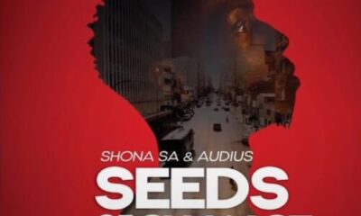 Shona SA ft. Audius, DJ Fresh SA – Totems