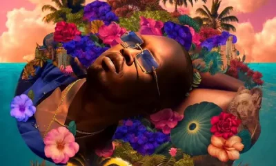 Ajebutter 22 ft. LadiPoe – Soft Life