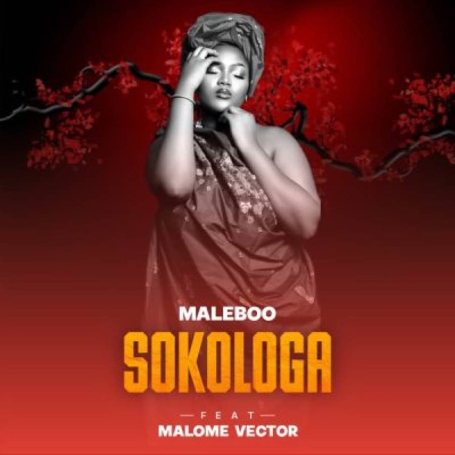 Maleboo Ft. Malome Vector – Sokologa
