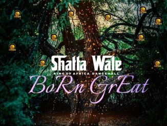 Shatta Wale – Born Great
