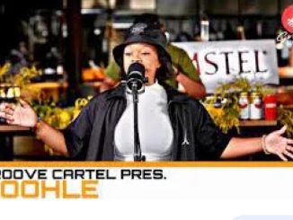 Boohle – Groove Cartel Mix