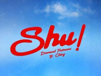 Diamond Platnumz ft. Chley – Shu!