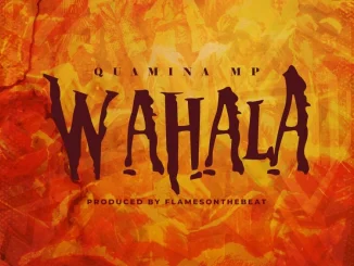 Quamina Mp – Wahala