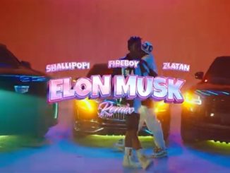 Shallipopi ft. Zlatan, Firebox DML – Elon Musk (Remix)