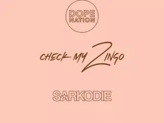 DopeNation ft. Sarkodie – Check My Zingo (Remix)