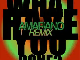 Kel-P – What Have You Done? (Amapiano Remix)