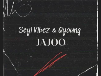 Seyi Vibez ft. Q-young – Jajoo