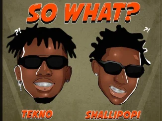 Tekno ft. Shallipopi – So What?