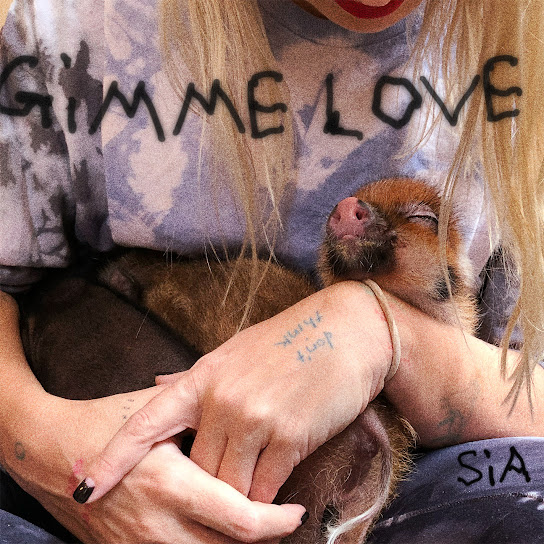 Sia – Gimme Love