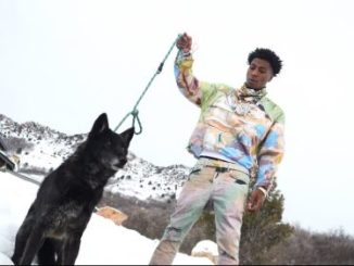 NBA (YoungBoy) Never Broke Again – Wolf Cry