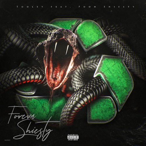 Tooley – Foreva Shiesty Ft. Pooh Shiesty